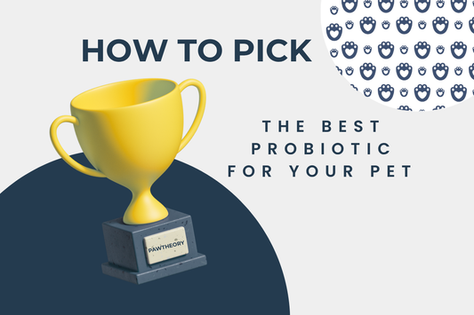 Why Most Pet Probiotics Don't Work