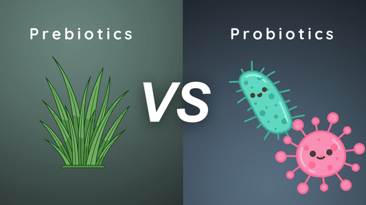 Probiotics vs. Prebiotics: What’s the Difference?