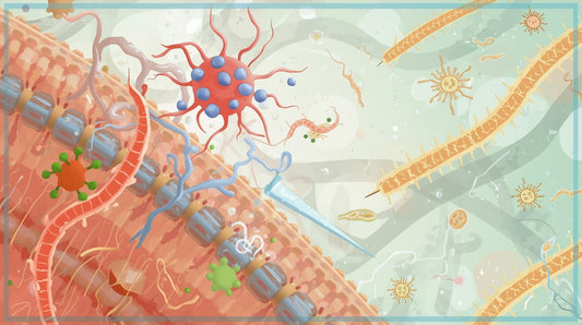 The 7 Strains Inside Pawtheory Probiotics and Why They Matter