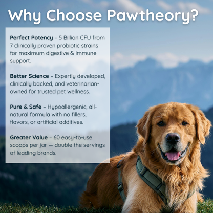 Apawthecary Probiotic and Prebiotic for Dogs