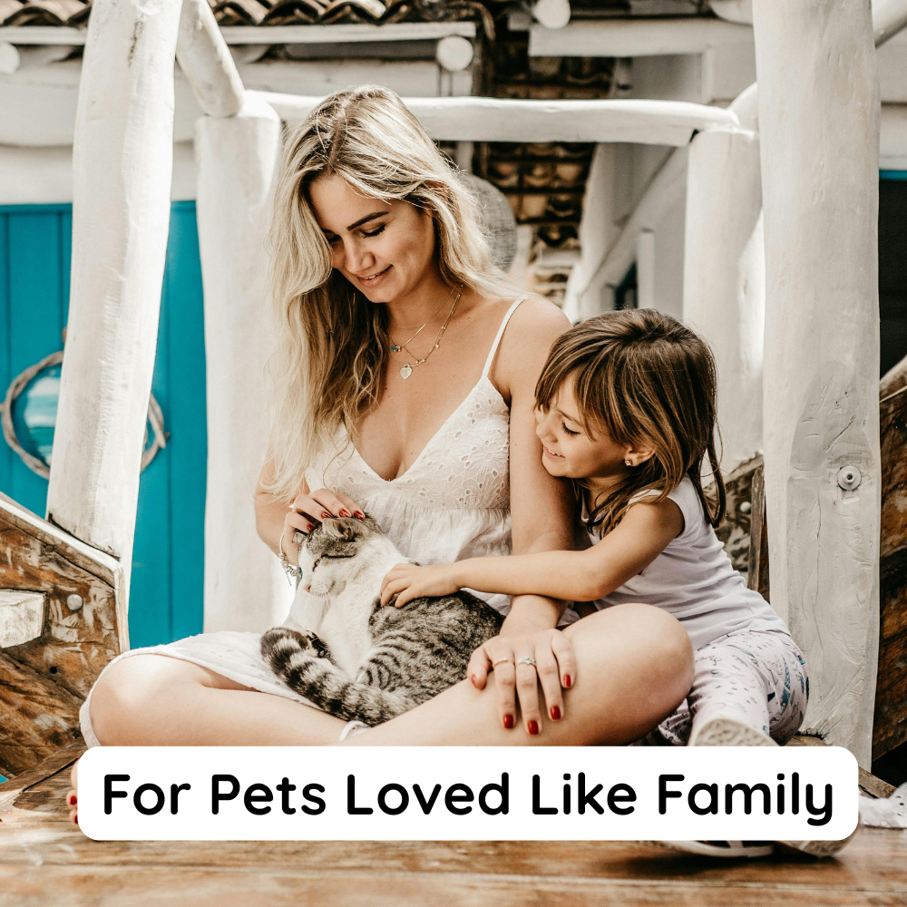 Apawthecary Probiotic and Prebiotic for Cats